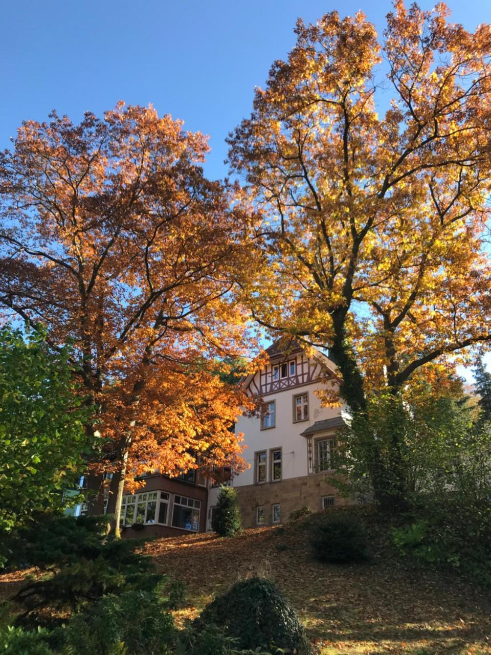 Waldhotel Bad Muenstereifel Exteriör bild